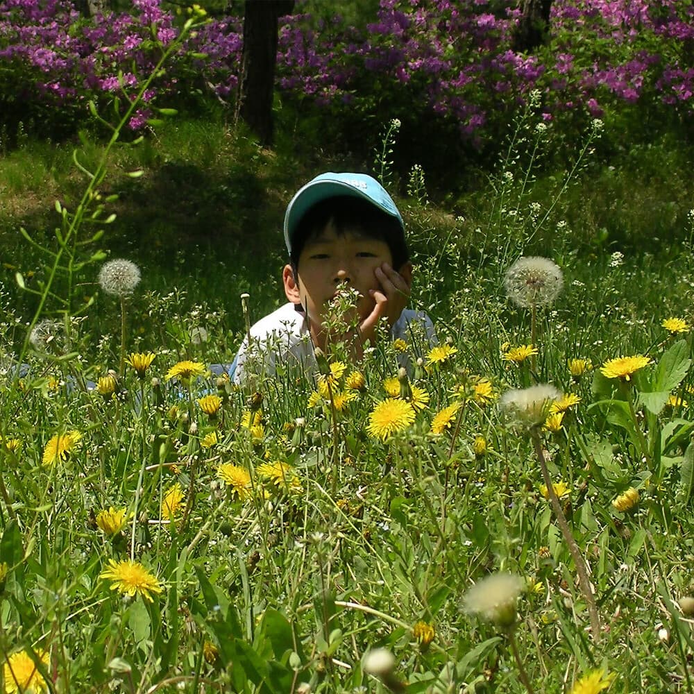 나 혼자 남은 지구 앨범 커버